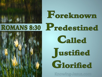 Romans 8:30 Foreknown Predestined Called Justified Glorified (blue)